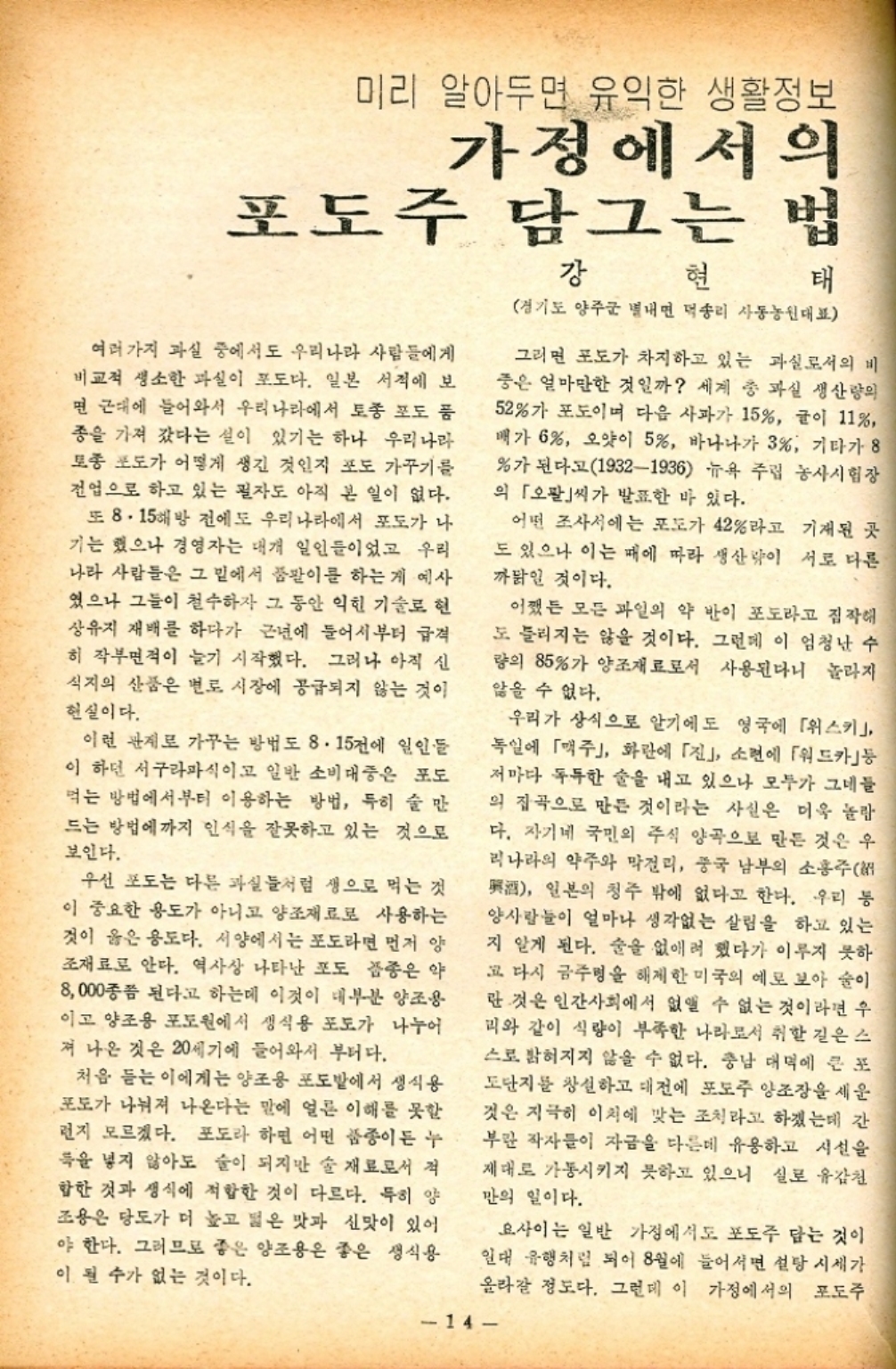 ﻿  미리 알아두면 유익한 생활정보 가정에서의 포도주 담그는 법 여러가지 과실 중에서도 우리나라 사람들에게 비교적 생소한 과실이 포도다. 일본 서적에 보 면 근대에 들어와서 우리나라에서 토종 포도 품 종을 가져 갔다는 설이 있기는 하나 우리나라 토종 포도가 어떻게 생긴 것인지 포도 가꾸기를 전업으로 하고 있는 필자도 아직 본 일이 없다. 또 8·15해방 전에도 우리나라에서 포도가 나 기는 했으나 경영자는 대개 일인들이었고 우리 나라 사람들은 그 밑에서 품팔이를 하는 게 예사 였으나 그들이 철수하자 그 동안 익힌 기술로 현 상유지 재배를 하다가 근년에 들어서부터 급격 히 작부면적이 늘기 시작했다. 그러나 아직 신 식지의 산품은 변로 시장에 공급되지 않는 것이 현실이다. 이런 관계로 가꾸는 방법도 8.15전에 일인들 이 하던 서구라파식이고 일반 소비대중은 포도 먹는 방법에서부터 이용하는 방법 특히 술만 드는 방법에까지 인식을 잘못하고 있는 것으로 보인다. 우선 포도는 다른 과실들처럼 생으로 먹는 것 이 중요한 용도가 아니고 양조재료로 사용하는 것이 옳은 용도다. 서양에서는 포도라면 먼저 양 조재료로 안다. 역사상 나타난 포도 품종은 약 8000종쯤 된다고 하는데 이것이 대부분 양조용 이고 양조용 포도원에서 생식용 포도가 나누어 져 나온 것은 20세기에 들어와서 부터다. 처음 듣는 이에게는 양조용 포도밭에서 생식용 포도가 나눠져 나온다는 말에 얼른 이해를 못할 런지 모르겠다. 포도라 하면 어떤 품종이든 누 죽을 넣지 않아도 술이 되지만 술 재료로서 적 합한 것과 생식에 적합한 것이 다르다. 특히 양 조용은 당도가 더 높고 넓은 맛과 신맛이 있어 야 한다. 그러므로 좋은 양조용은 좋은 생식용 이 될 수가 없는 것이다. 강 현 태 경기도 양주군 별내면 덕송리 사동농원대표 그러면 포도가 차지하고 있는 과실로서의 비 중은 얼마만한 것일까 세계 총 과실 생산량의 52가 포도이며 다음 사과가 15 귤이 11 매가 6 오얏이 5 바나나가 3 기타가 8 가 된다고19321936 뉴욕 주립 농사시험장 의 「오팔」씨가 발표한 바 있다. 어떤 조사서에는 포도가 42라고 기재된 곳 도 있으나 이는 때에 따라 생산량이 서로 다른 까닭인 것이다. 어쨌든 모든 과일의 약 반이 포도라고 짐작해 도 틀리지는 않을 것이다. 그런데 이 엄청난 수 량의 85가 양조재료로서 사용된다니 놀라지 않을 수 없다. 우리가 상식으로 알기에도 영국에 「위스키」 독일에 「맥주」 화란에 「진」 소련에 「워드카 저마다 독특한 술을 내고 있으나 모두가 그네들 의 잡곡으로 만든 것이라는 사실은 더욱 놀랍 다. 자기네 국민의 주식 양곡으로 만든 것은 우 리나라의 약주와 막걸리 중국 남부의 소홍주 興酒 일본의 청주 밖에 없다고 한다. 우리 동 양사람들이 얼마나 생각없는 살림을 하고 있는 지 알게 된다. 술을 없애려 했다가 이루지 못하 고 다시 금주병을 해제한 미국의 예로 보아 술이 란 것은 인간사회에서 없앨 수 없는 것이라면 우 리와 같이 식량이 부족한 나라로서 취한 길은 스 스로 밝혀지지 않을 수 없다. 충남 대덕에 큰 포 도단지를 창설하고 대전에 포도주 양조장을 세운 것은 지극히 이치에 맞는 조치라고 하겠는데 간 부란 작자들이 자금을 다른데 유용하고 시설을 제대로 가동시키지 못하고 있으니 실로 유감천 만의 일이다. 요사이는 일반 가정에서도 포도주 담는 것이 일대 유행처럼 되어 8월에 들어서면 설탕 시세가 올라갈 정도다. 그런데 이 가정에서의 포도주 14