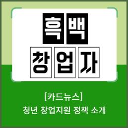 인구정책 서포터즈 청년 창업지원 정책소개