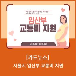 인구정책 서포터즈 서울시 임산부 교통비 지원